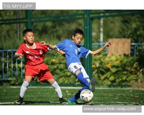 电竞数据揭秘BLG在DOTA2赛场上的辉煌突破与成长历程